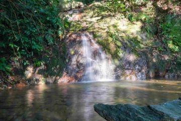 Saiba o que fazer em Penha-SC
